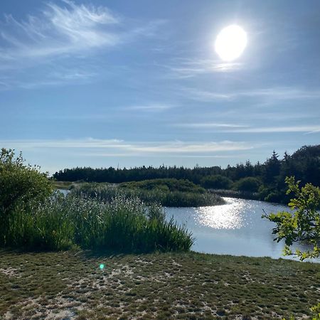 Zijperweg Vakantiehuis Vlakbij Zee, Strand En Bos 佩滕 外观 照片