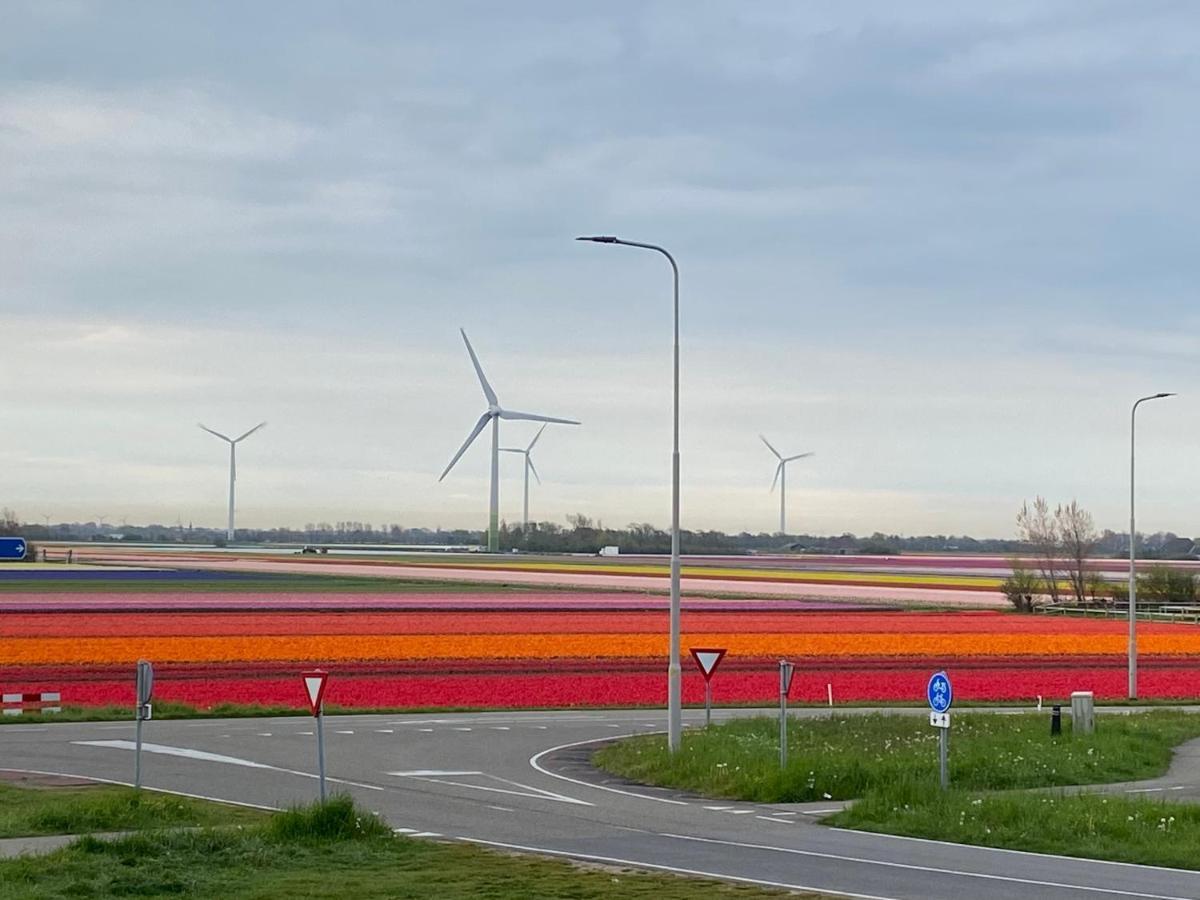 Zijperweg Vakantiehuis Vlakbij Zee, Strand En Bos 佩滕 外观 照片